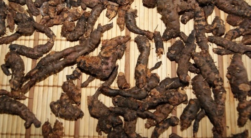 Корінь калгану